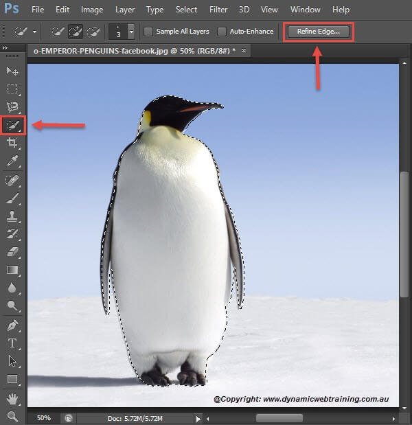 How To Use Quick Selection Tool In Adobe Photoshop