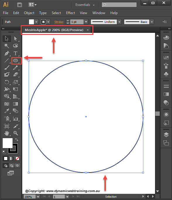 MeshTool-1-DynamicWebTraining