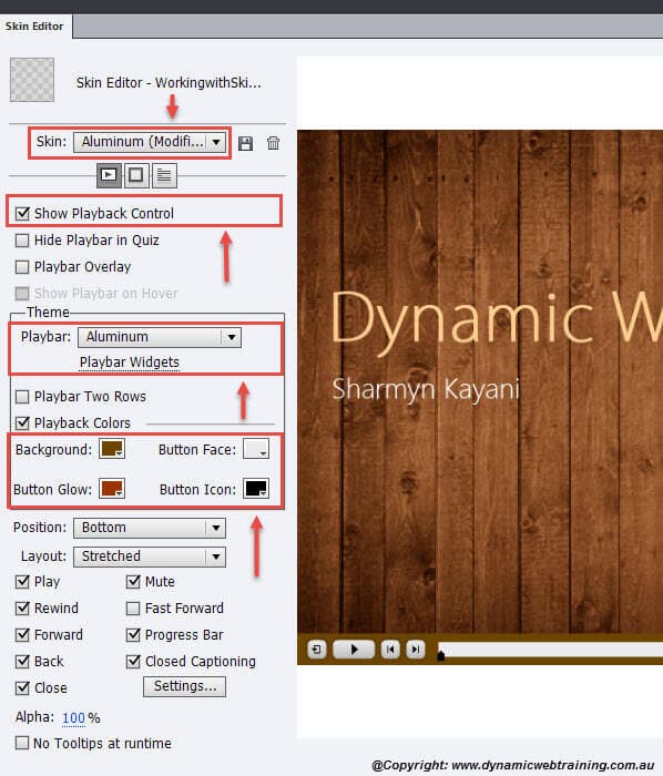 SkinEditor-5-DynamicWebTraining