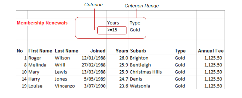 Understanding Advanced Filters in Excel 2 - Dynamic Web Training