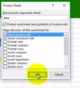 Excel Protect Sheet 2 - Dynamic Web Training