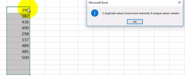 Excel Remove Duplicate 5 - Dynamic Web Training