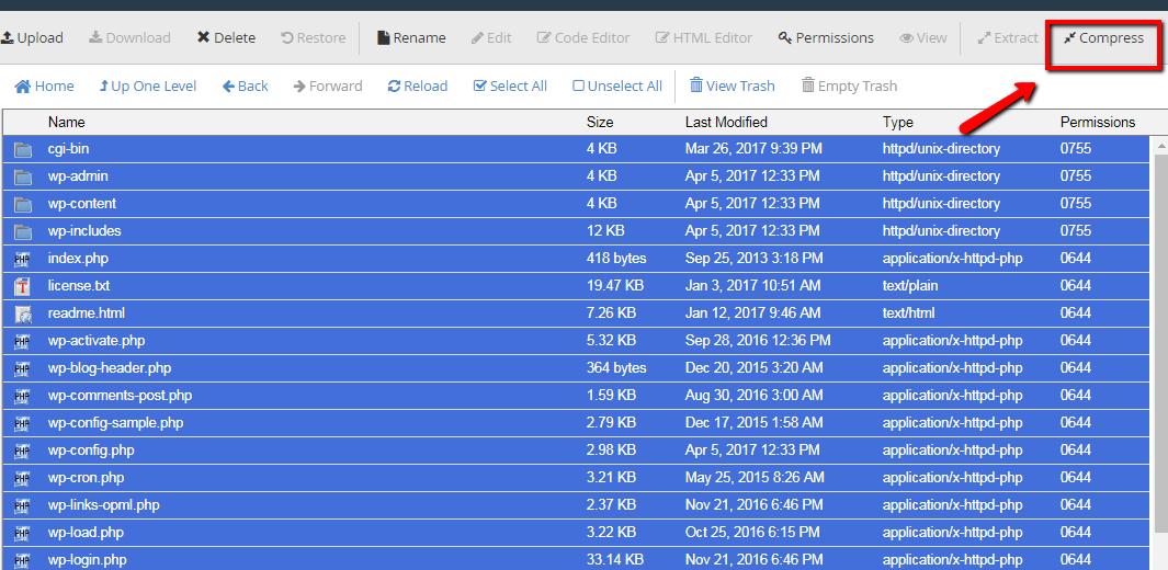 Wordpress Hosting File Manager Compress files - Dynamic Web Training
