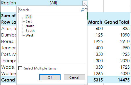 Pivot Table Step 8 b - Dynamic Web Training