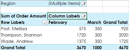 Pivot Table Step 8 d - Dynamic Web Training