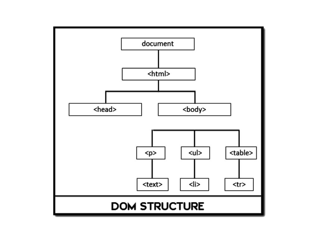 DOM Structure - Dynamic Web Training