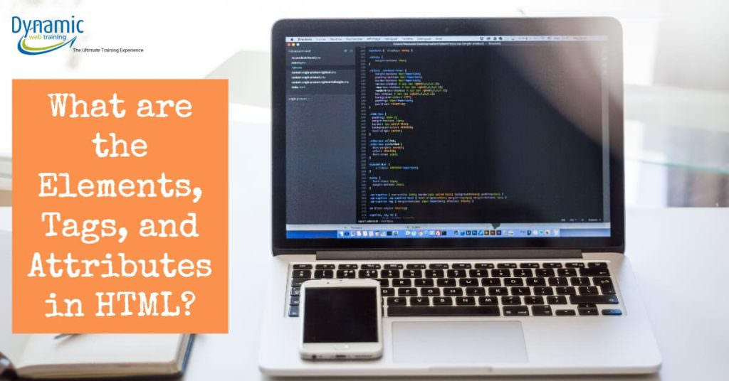Html Elements Tags Attributes - Dynamic Web Training