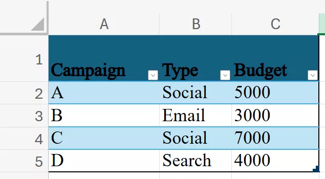 Raw data list of marketing campaigns and their respective budgets.